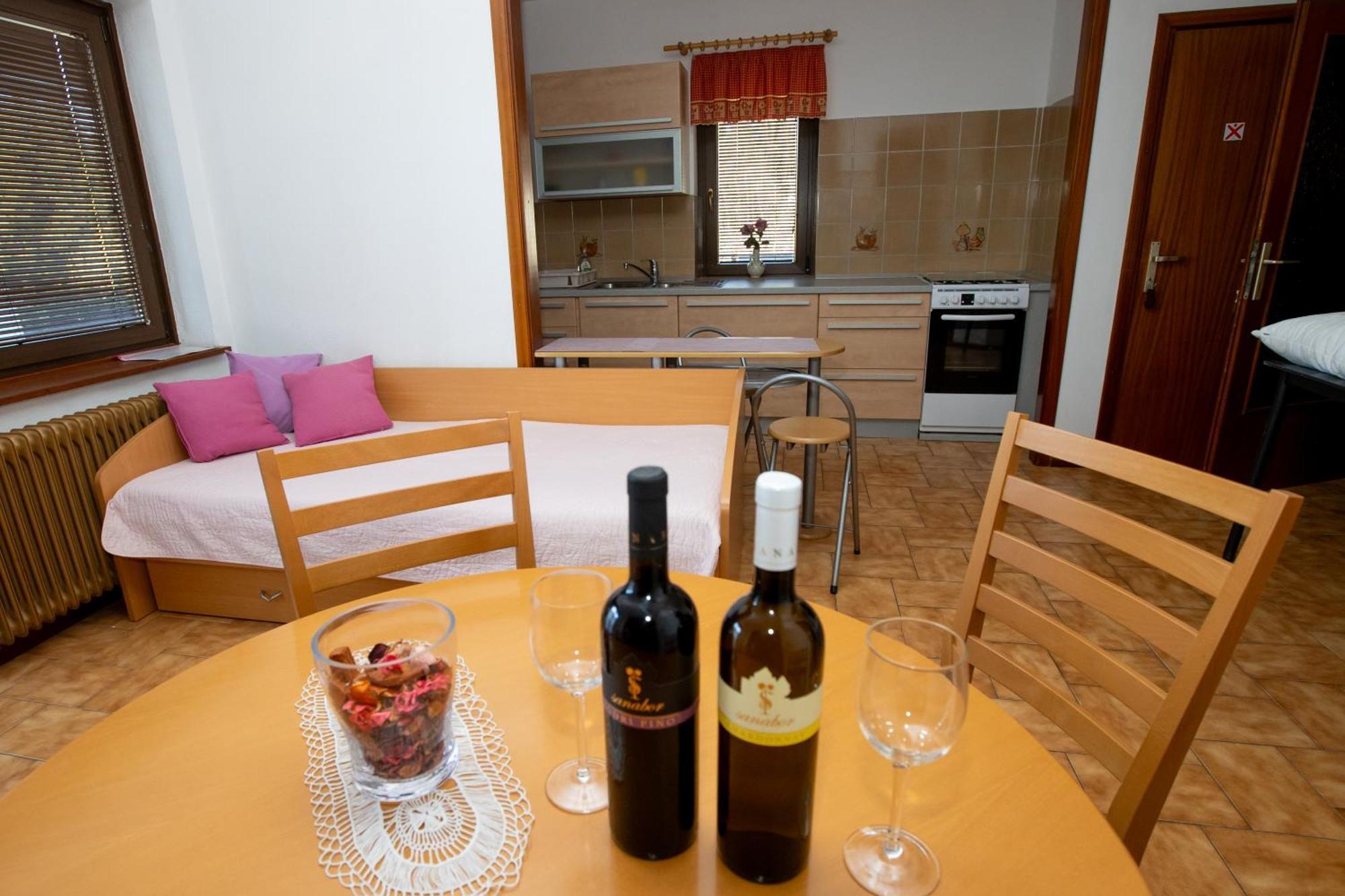 Guesthouse Sanabor Postojna Extérieur photo